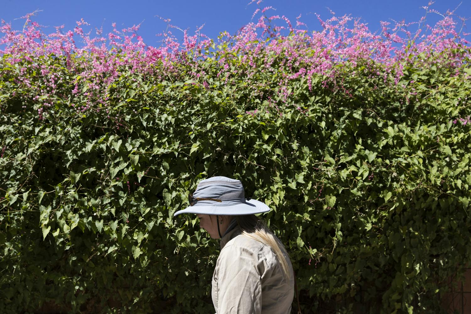 230929 Arboretum guide-7.jpg