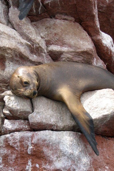 (Photo Courtesy of Julie Newberg/Photo by Sara Marsteller)