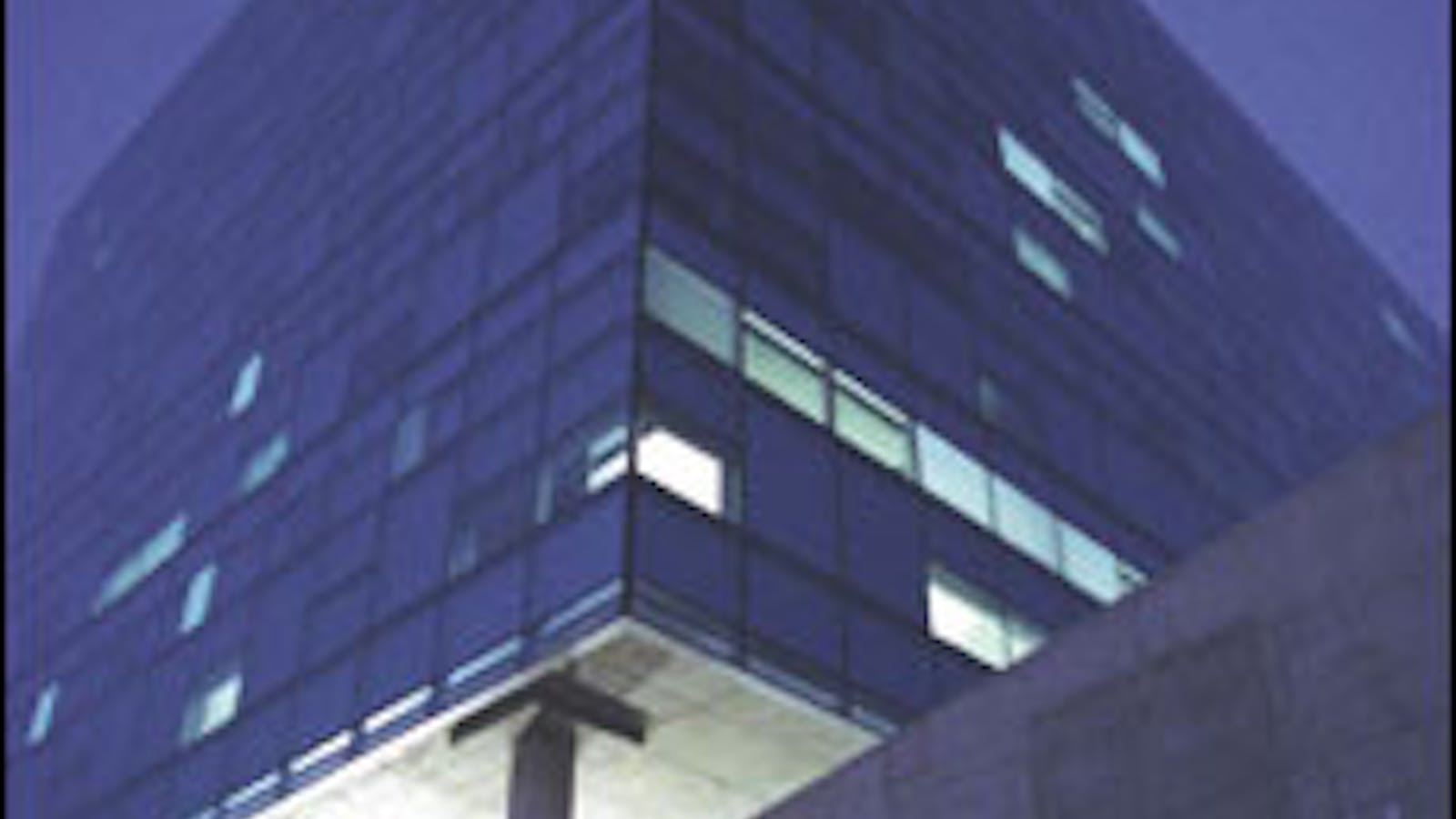 Coor building latest, largest public art The Arizona State Press