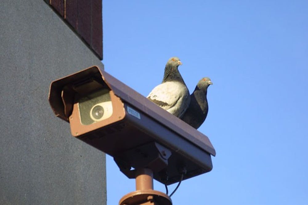 LOVE BIRDS: Two pigeons sit atop a surveillance camera observing passerby’s while the camera does the same. (Photo by Serwaa Adu-Tutu)