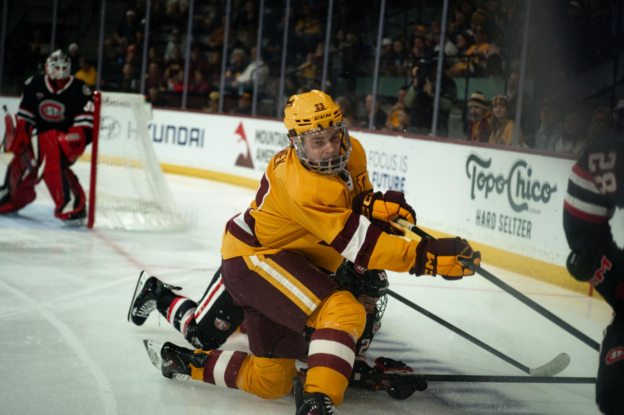 Gallery: Hockey Vs. St Cloud