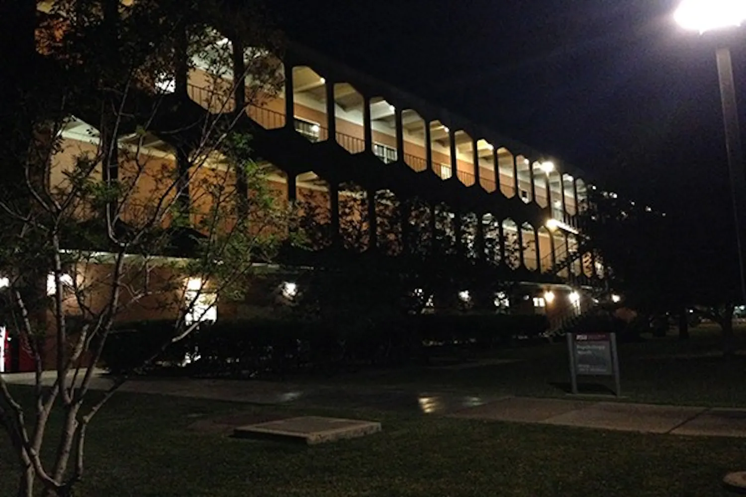 ASU has a bat population, which nest in the roof of the Psychology North building of the Tempe campus. Every fall students and faculty count the bat population on campus. (Photo by Murphy Bannerman)