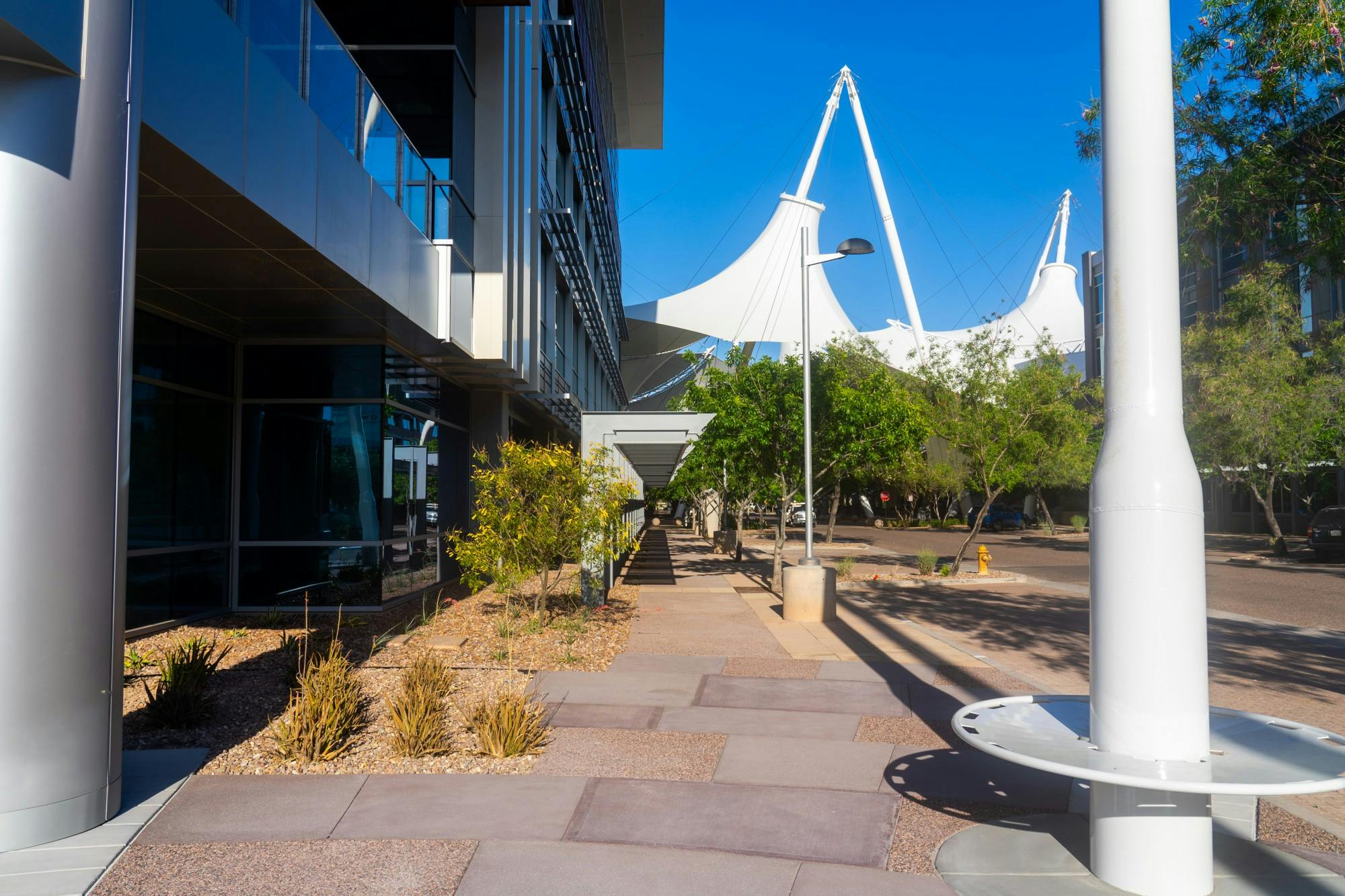 20200423 Skysong 0001 (1).jpg