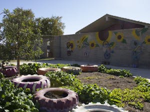 The Clark Park community garden in Tempe, Arizona on Nov. 19, 2016.