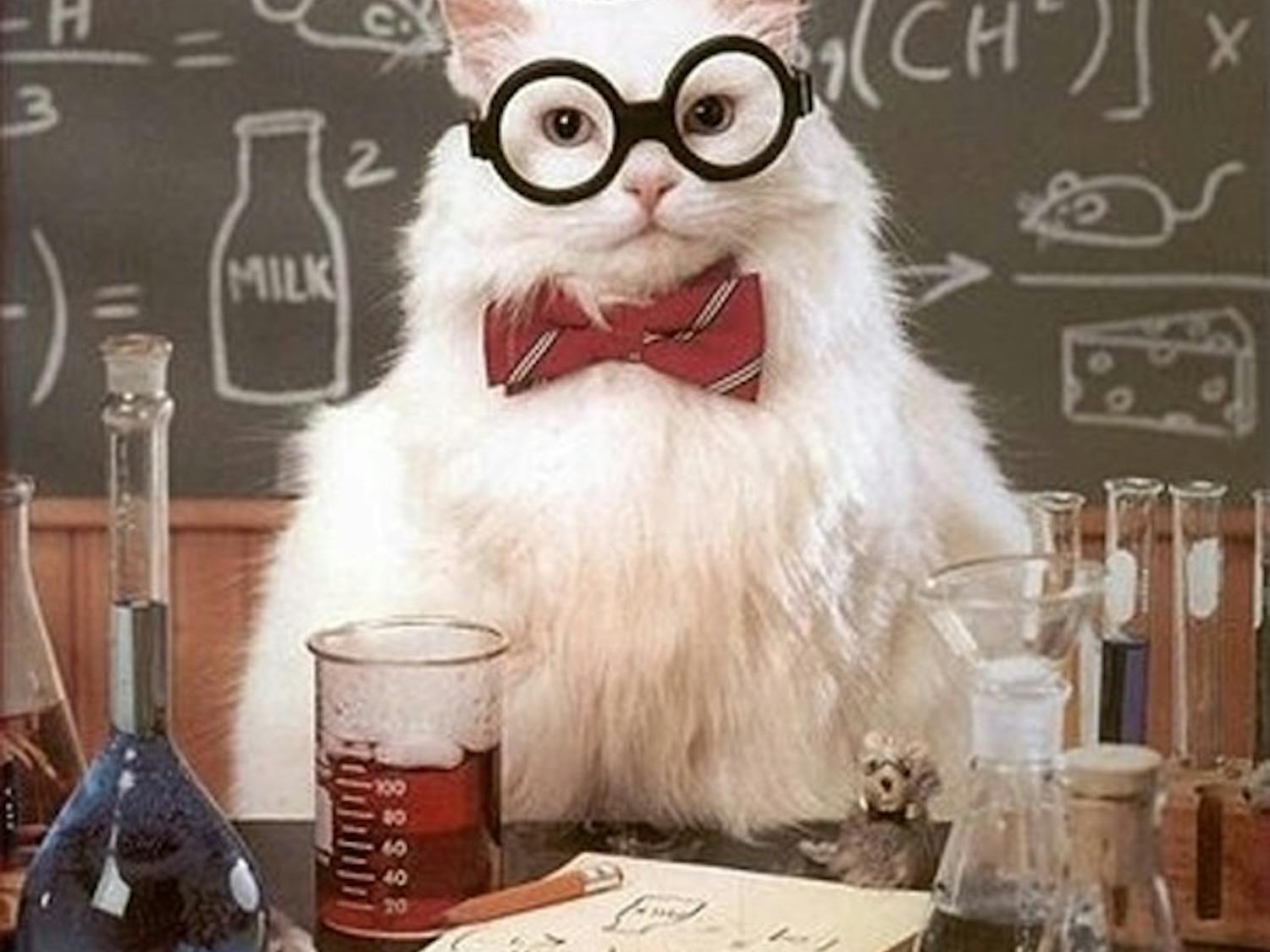 I have admittedly laughed aloud at a shameful amount of Chemistry Cat memes. Yeah Mr. White! Yeah science!