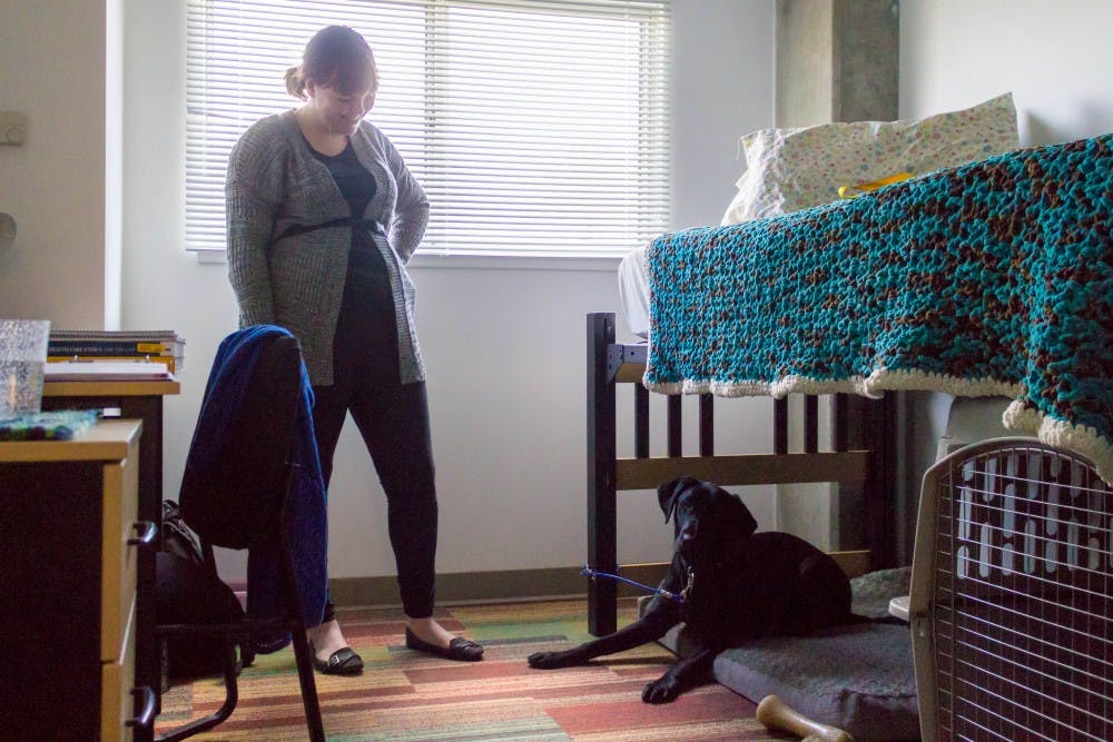 Rules and regulations on pets in ASU dorms The Arizona State Press