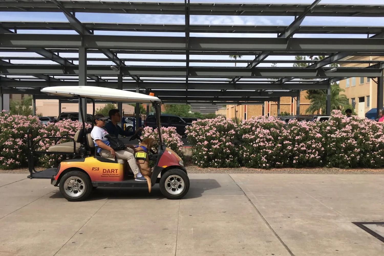 A student and her service dog are transported to the Disability Resource Center on a shuttle on Monday, Sept. 19, 2016. 
