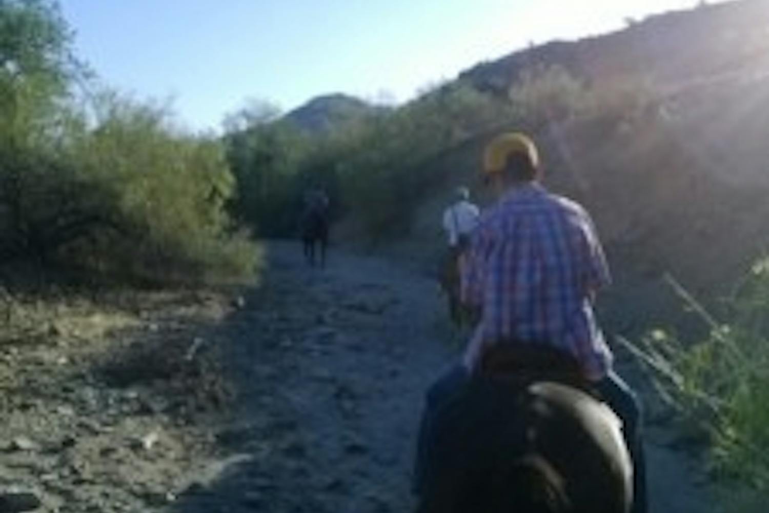 A summer day spent horseback riding at South Mountain