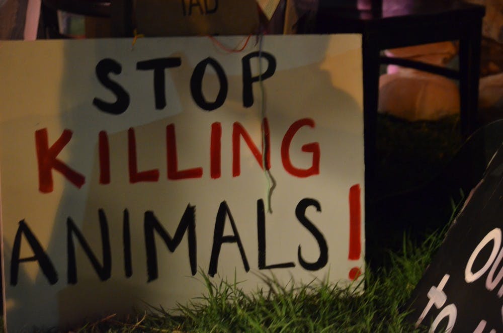 Photo by Daniel Santa Cruz