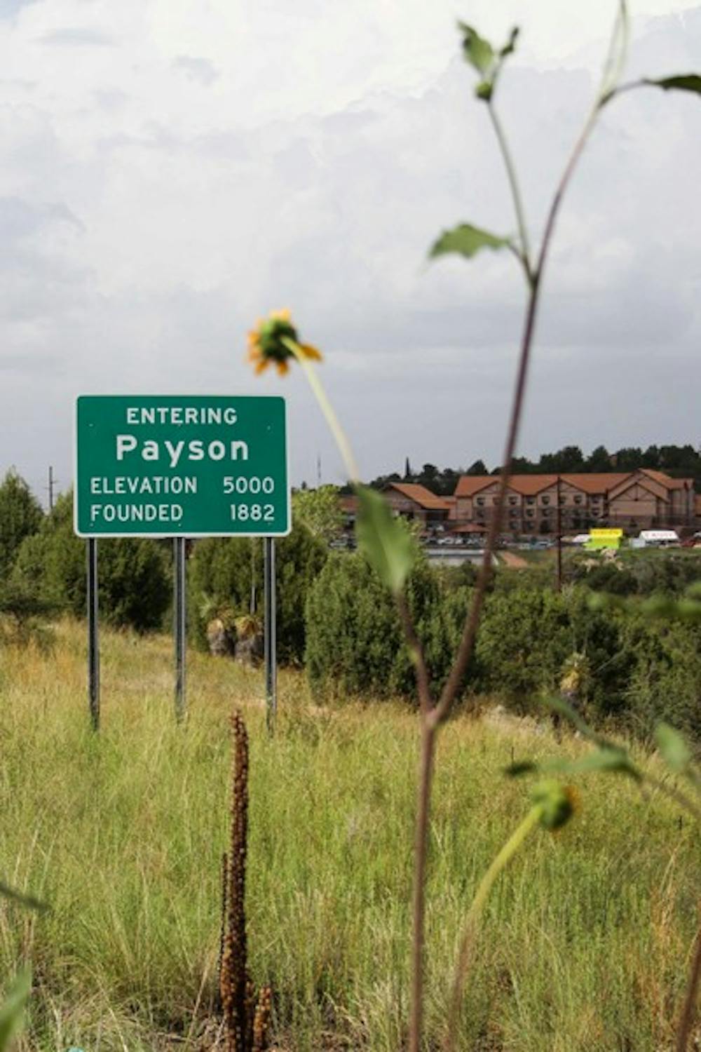The proposed ASU campus in Payson 90 miles northeast of Phoenix hit a snag with purchasing land from the Gila Community College. (Photo by Lisa Bartoli)