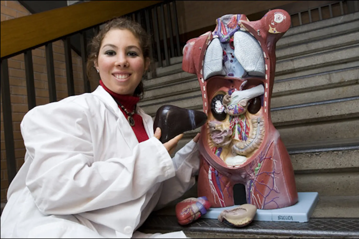 p6_librarymedicine_WEB