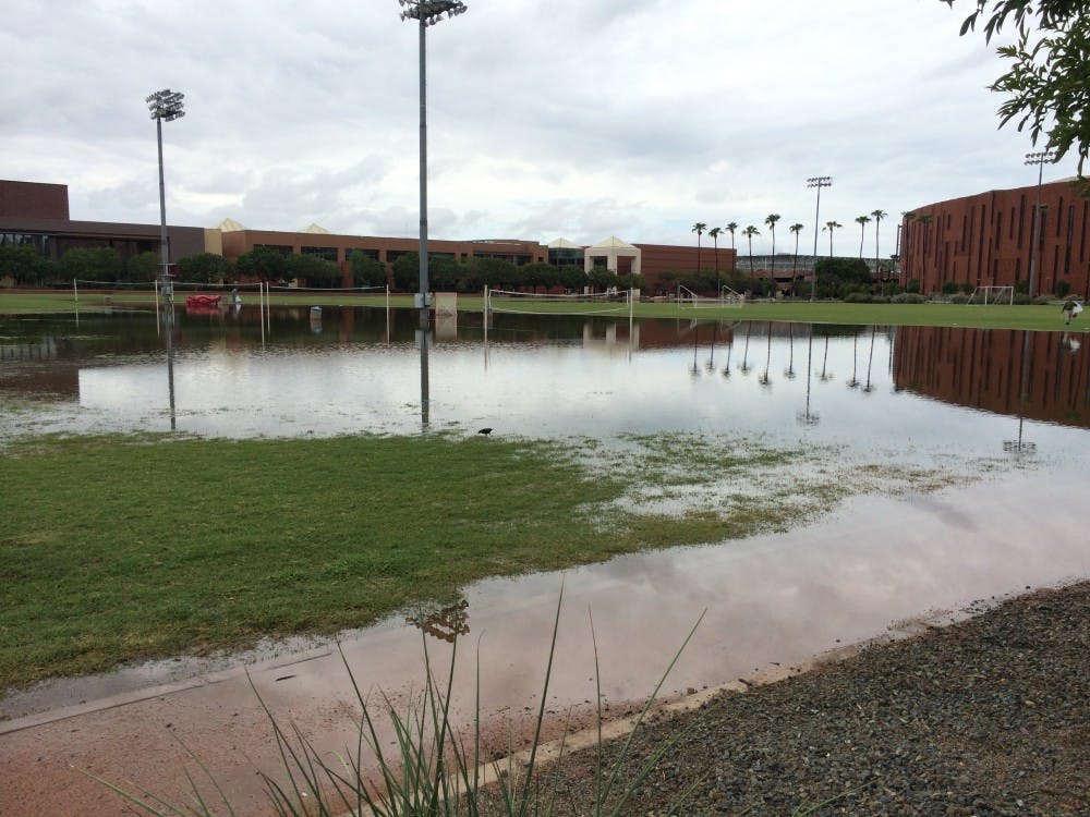 (Photo courtesy of Nick Latona)