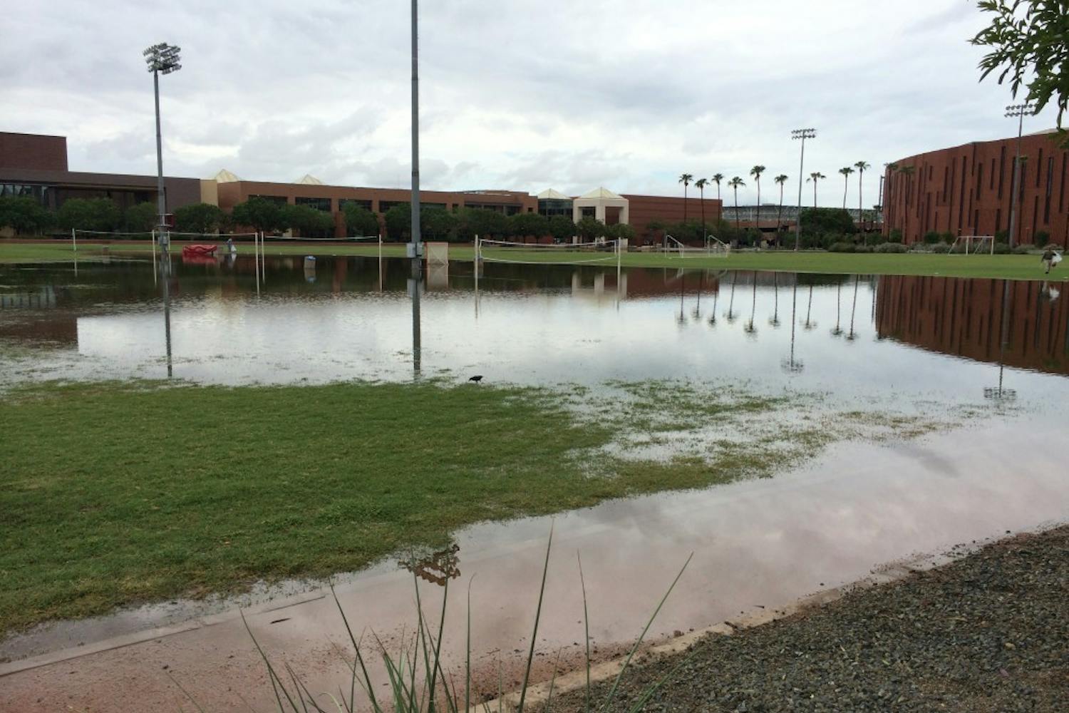 (Photo courtesy of Nick Latona)