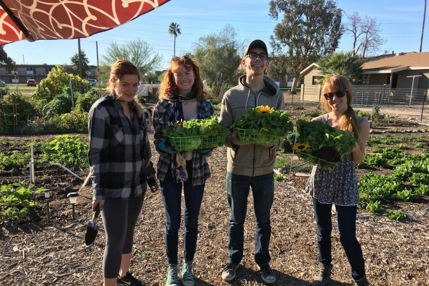 Students in the community garden on ASU's Polytechnic Campus.&nbsp;