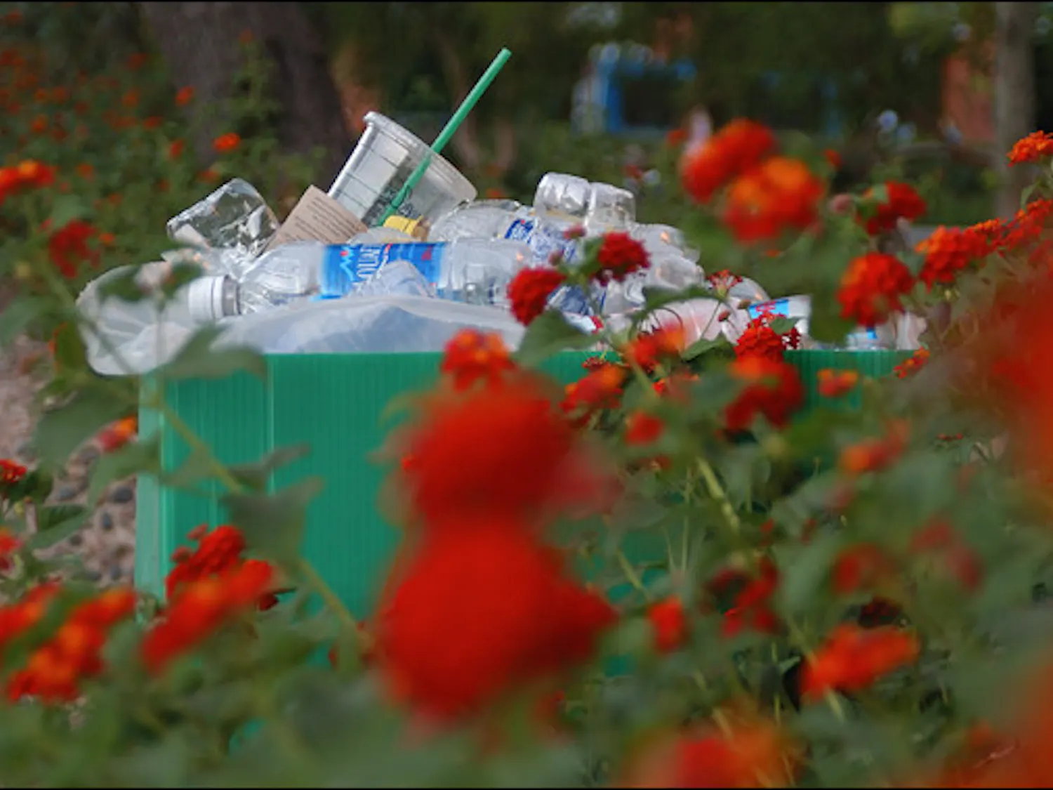 102708_temperecycling_WEB