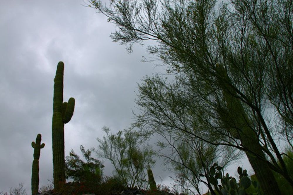OBSCURED BY CLOUDS: Cacti loom beneath an unusual sunless sky on the Tempe campus on Monday. (Photo by Rosie Gochnour)