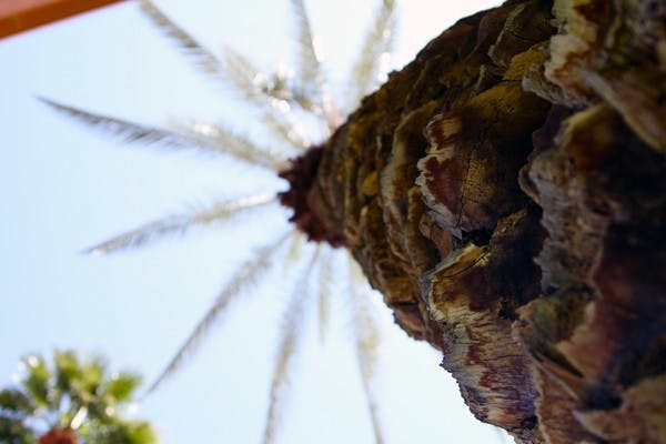 LOCKED UP: Senior Carolyn Vesecky was "in prison" Monday afternoon on the Hayden Lawn in Tempe to represent Gina's Team, a non-profit organization that promotes higher levels of education and the fair treatment of inmates. (Photo by Lisa Bartoli)