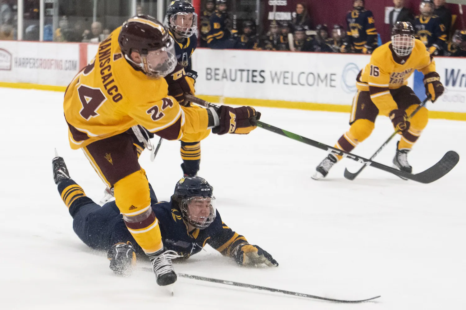 _20191102 Hockey vs Quinnipiac 0951.jpg