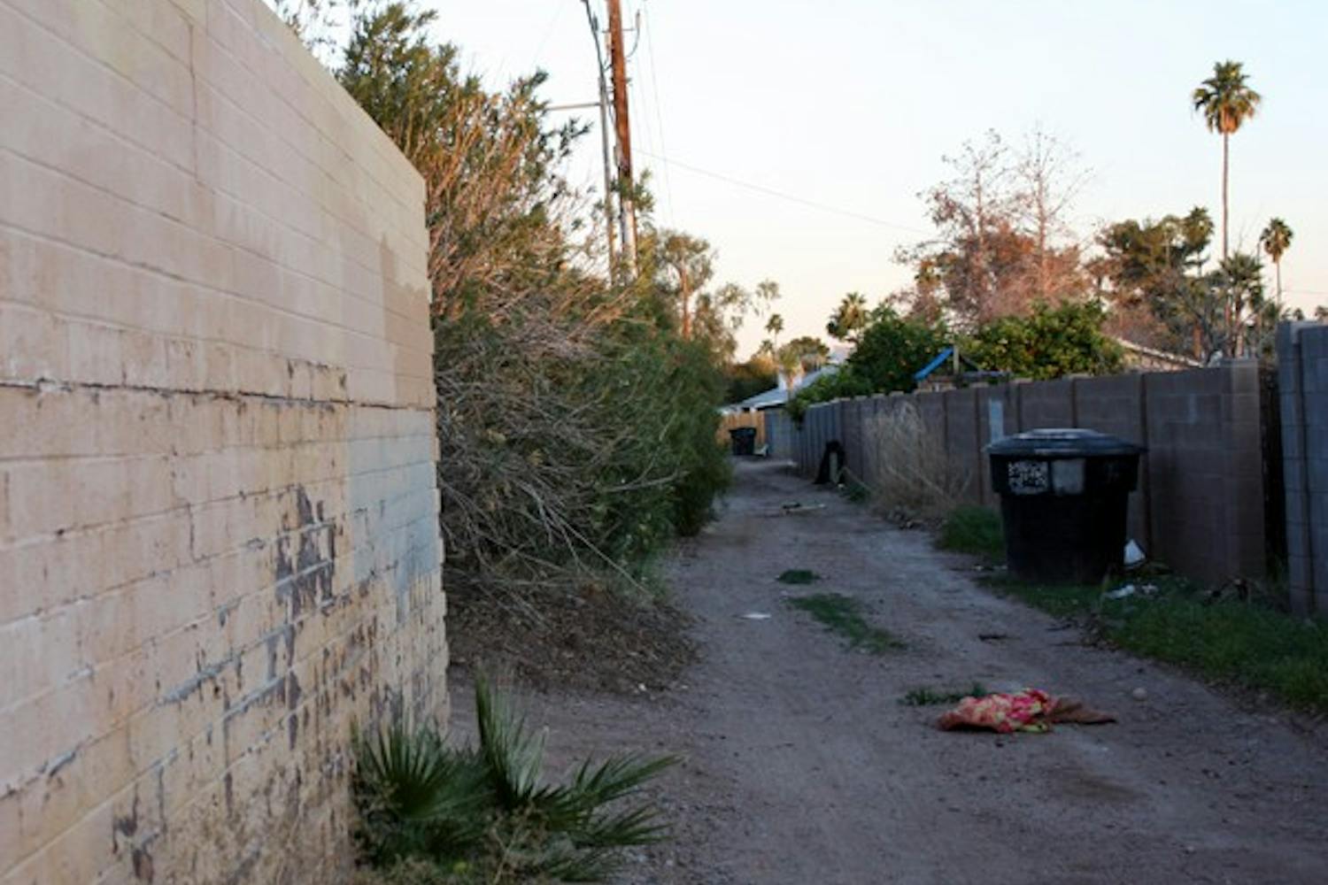 The proposed Solid Waste Alley Ordinance hopes to go into effect within the next two months. The ordinance will provide Tempe Police officers the ability to kick out transients, unwanted riffraff and illicit activity. (Photo by Shawn Raymundo)