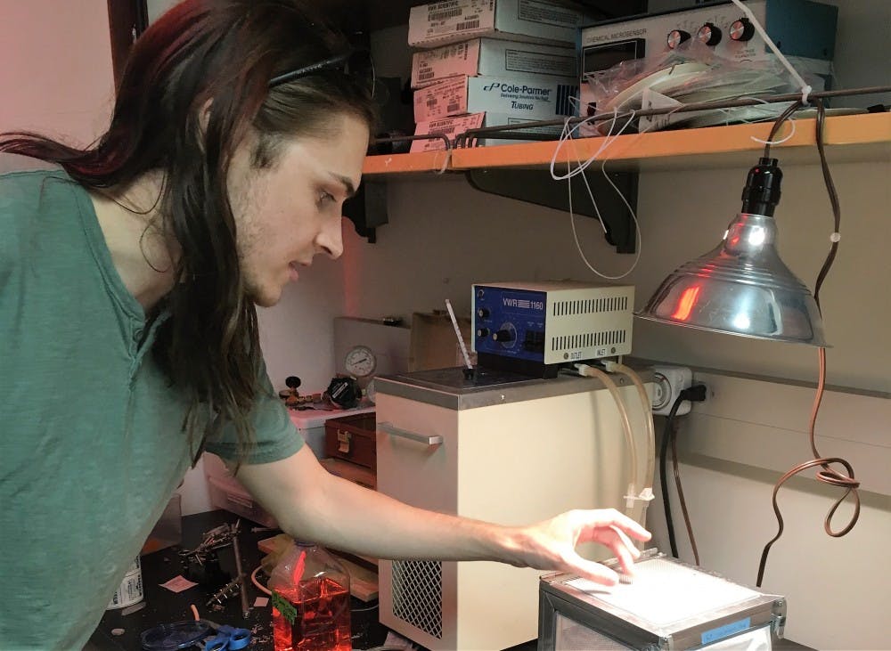 Trevor Fox,&nbsp;a&nbsp;biology graduate student currently studying the Aedes Aegypti, is pictured&nbsp;conducting research in his mosquito lab&nbsp;on Monday,&nbsp;Oct. 17, 2016.