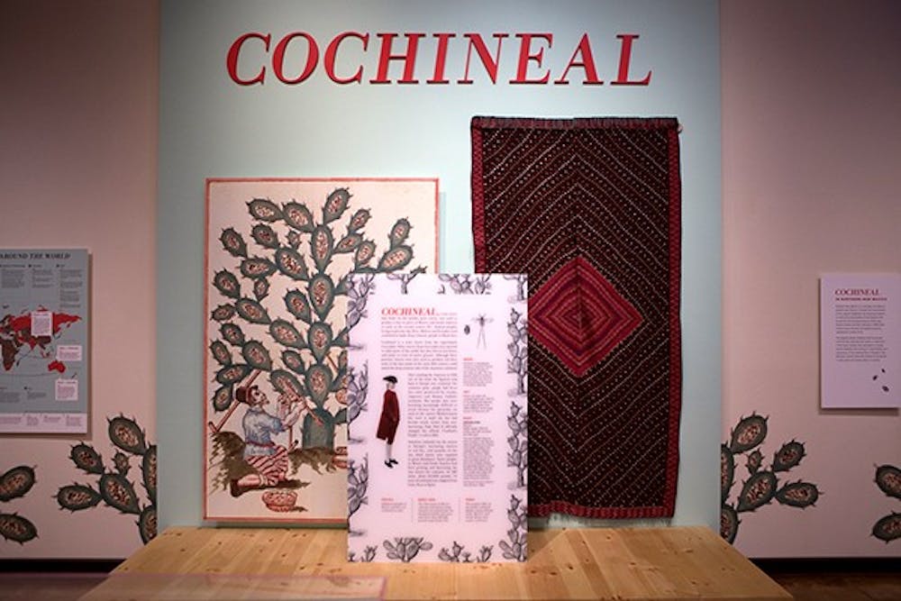 Display of a rug dyed with Cochineal bugs at the the Crossroads Gallery in Heard Museum. Cochineal is a tiny insect that feeds on cactus, was used to produce dyes in some parts of Mexico and South America. (Photo by Ryan Liu)