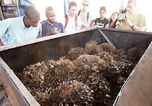 spm-feature-ghana3mb