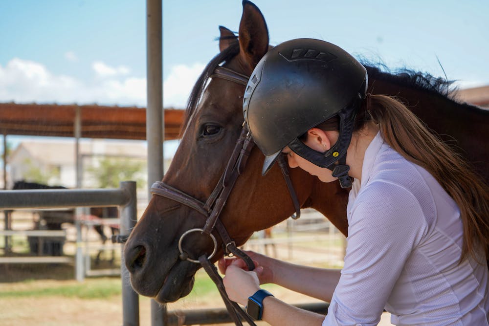 Community-ASU-Equestrian-no-experience.jpg