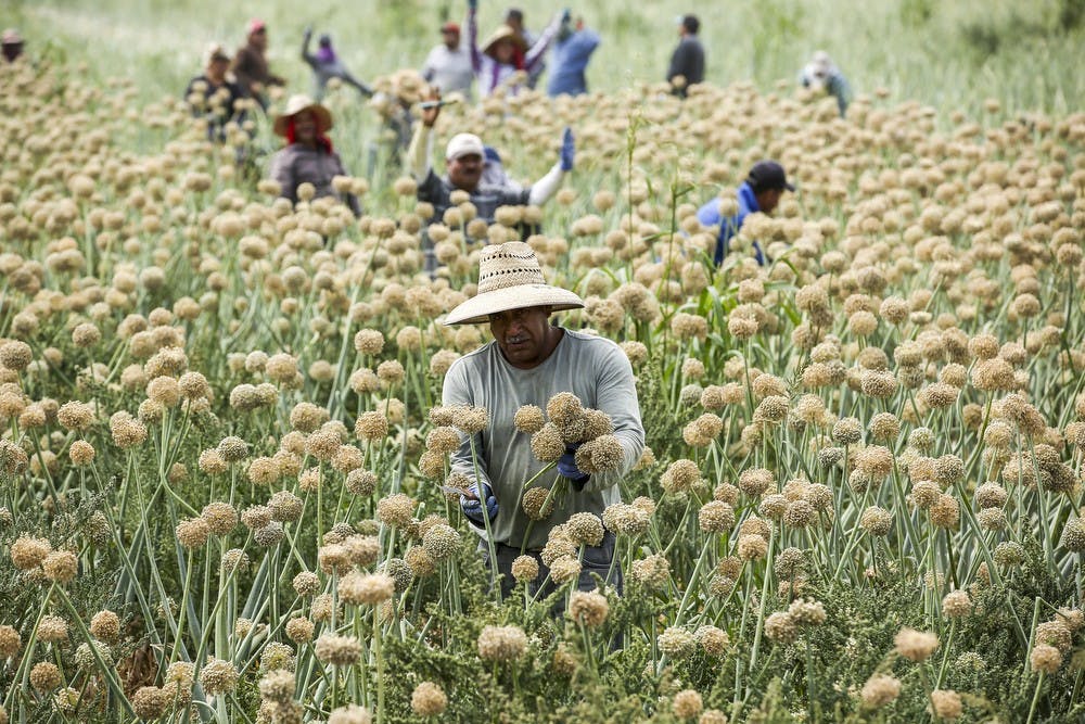 US NEWS COLORADORIVER-FARMERS 8 LA