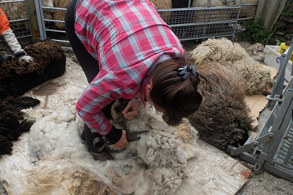 (Photo Courtesy of Aimee León)