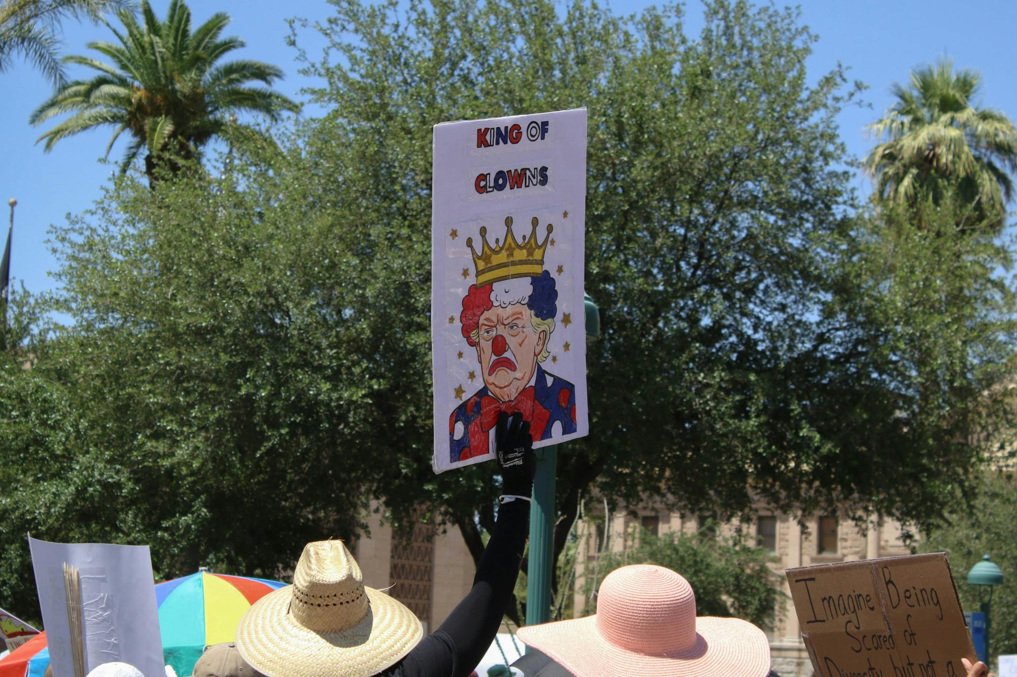 Gallery: No Kings Protest Demonstrators 