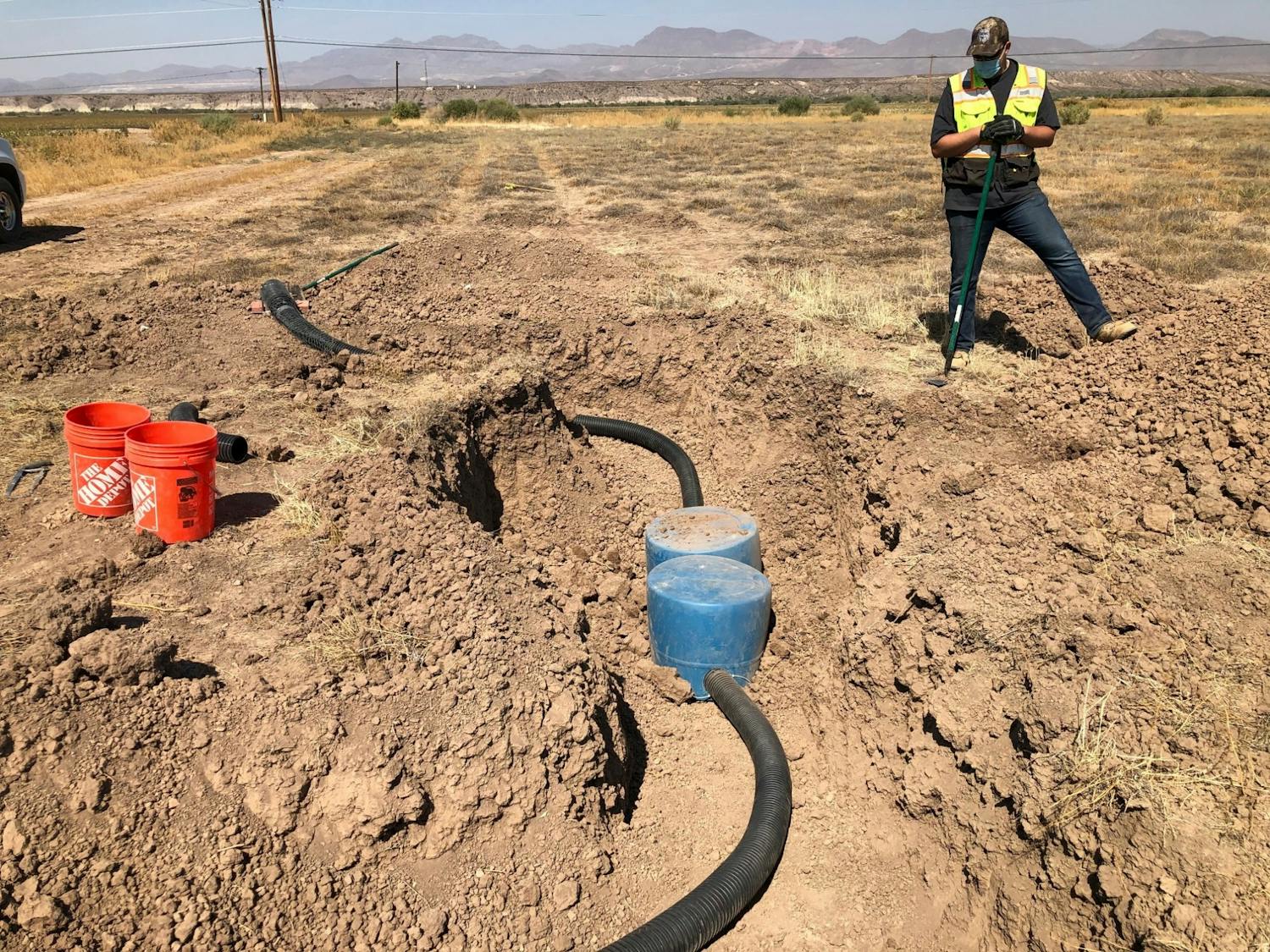 burrowing-owls-greg-clark