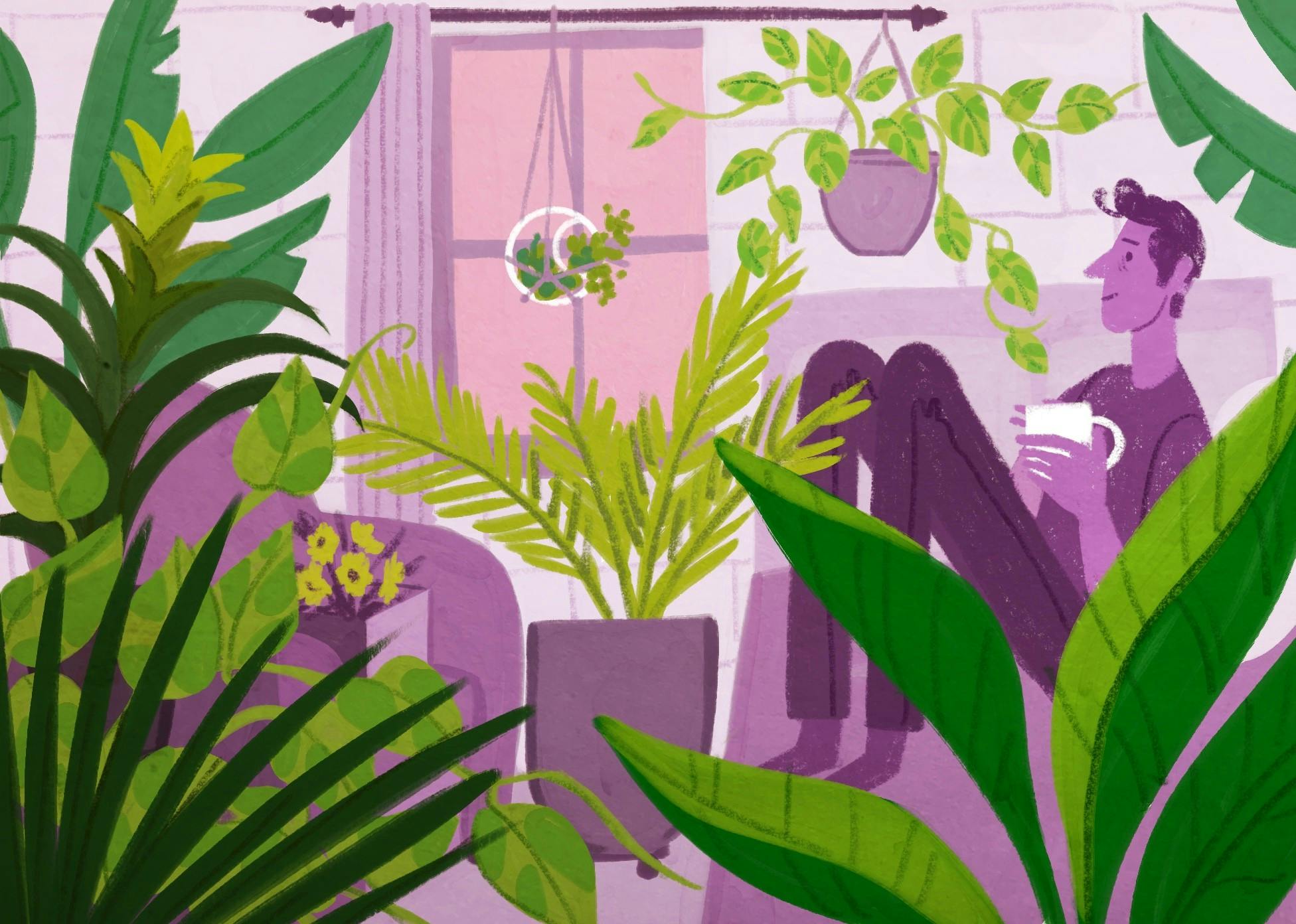 green_devor_11-17_plantparent