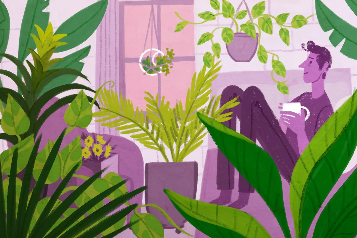 green_devor_11-17_plantparent