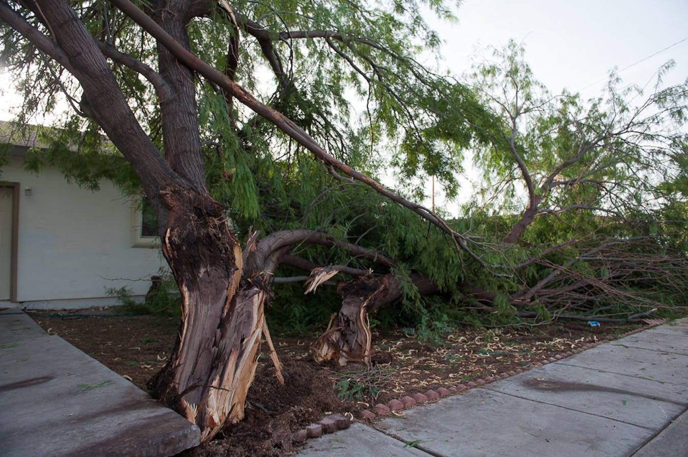 Photos: Tempe, Phoenix Clean Up After Stormy Night - The Arizona State 