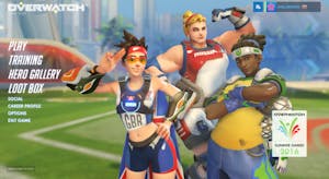 Blizzard Entertainment's new game, Overwatch, came out this May. 