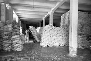 A worker moves flour inside Hayden Flour Mill in Tempe in 1962.