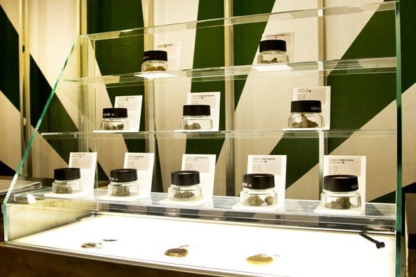 Arizona Organix in Glendale is the only medical marijuana distributor in the Phoenix area. The company tries to make clear that they are a distributor and not a club, like other businesses in the Phoenix area. (Photo by Ana Ramirez)