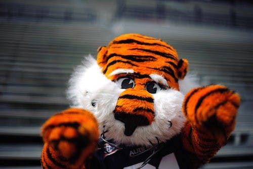 2010 Macca Training Day Story