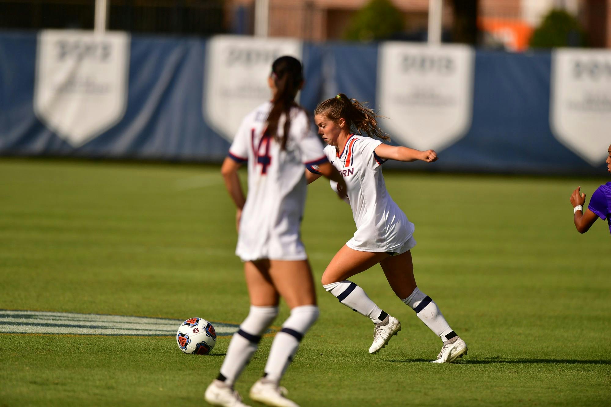 20211010 _SL22836.JPG