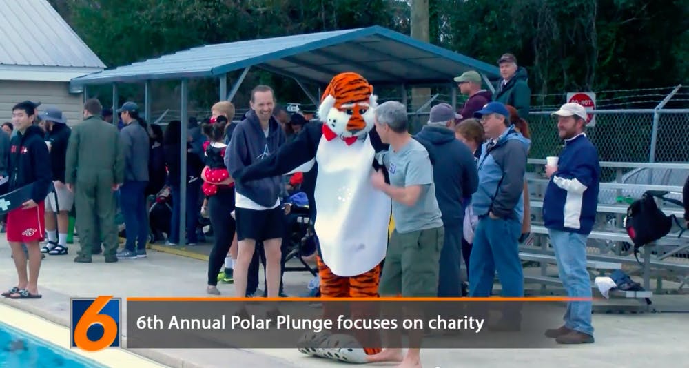 Aubie at the Polar Plunge​