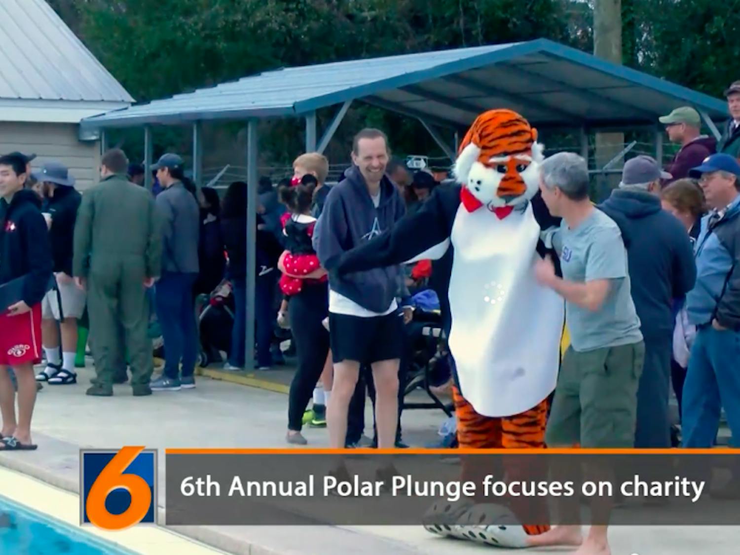 Aubie at the Polar Plunge