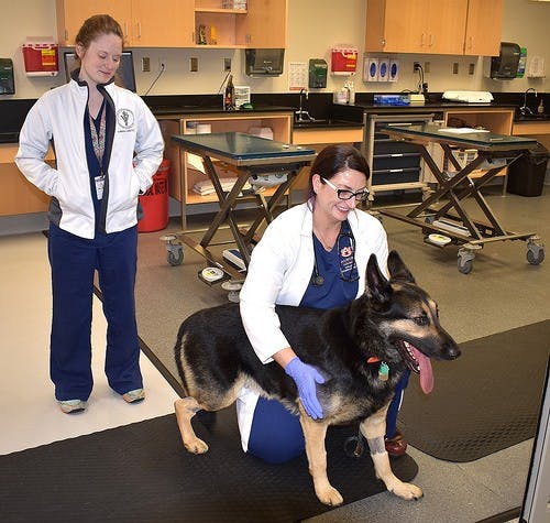 Adler doing rehabilitation after ​being in a near fatal house fire.