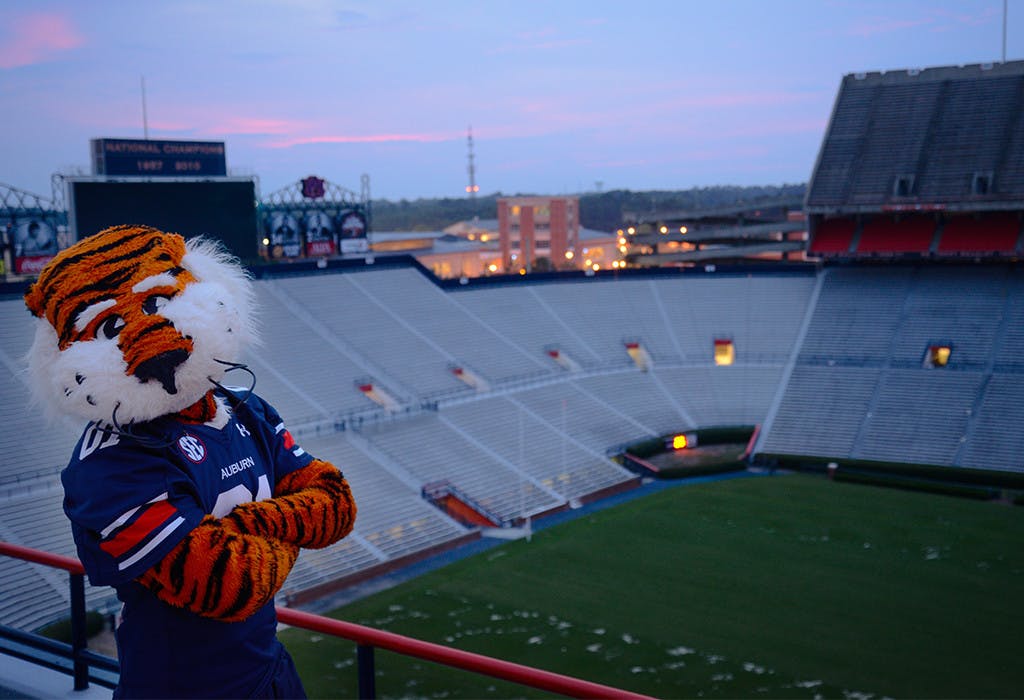 Aubie_home.jpg