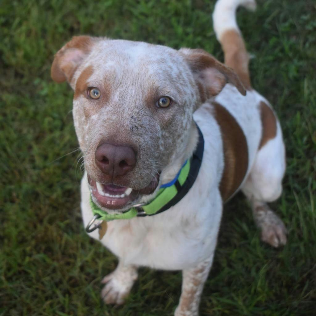 245968845_10158377060051845_2011477110415644269_n (1).jpg