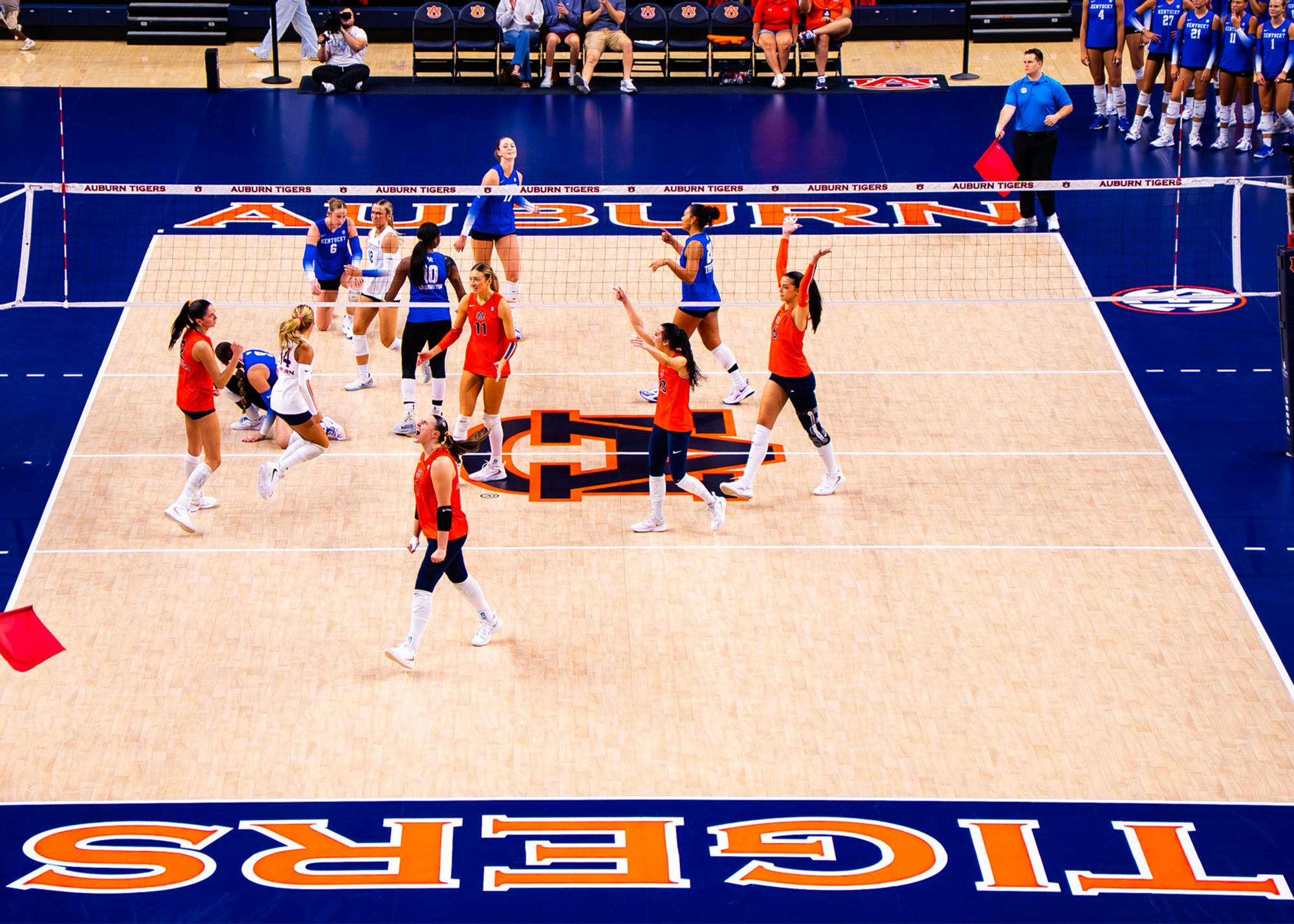 Auburn volleyball players celebrate after scoring a point against Kentucky at Neville Arena, with Kentucky players and coaches visible across the net.