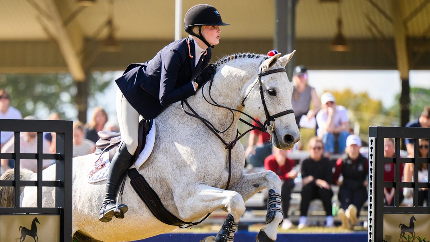 An equestrian rider in formal show-jumping attire guides a gray horse as it clears a black-and-gold obstacle midair in an outdoor arena, with spectators watching from the stands in the background.