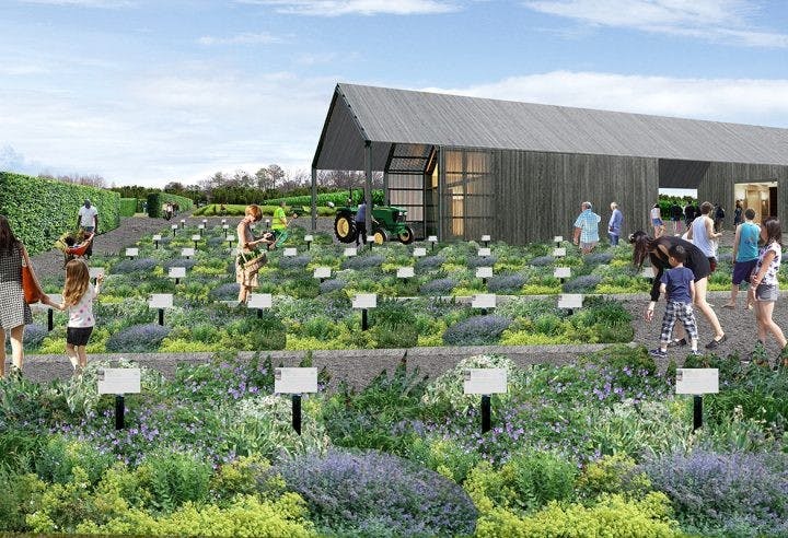 Teaching Garden drawing