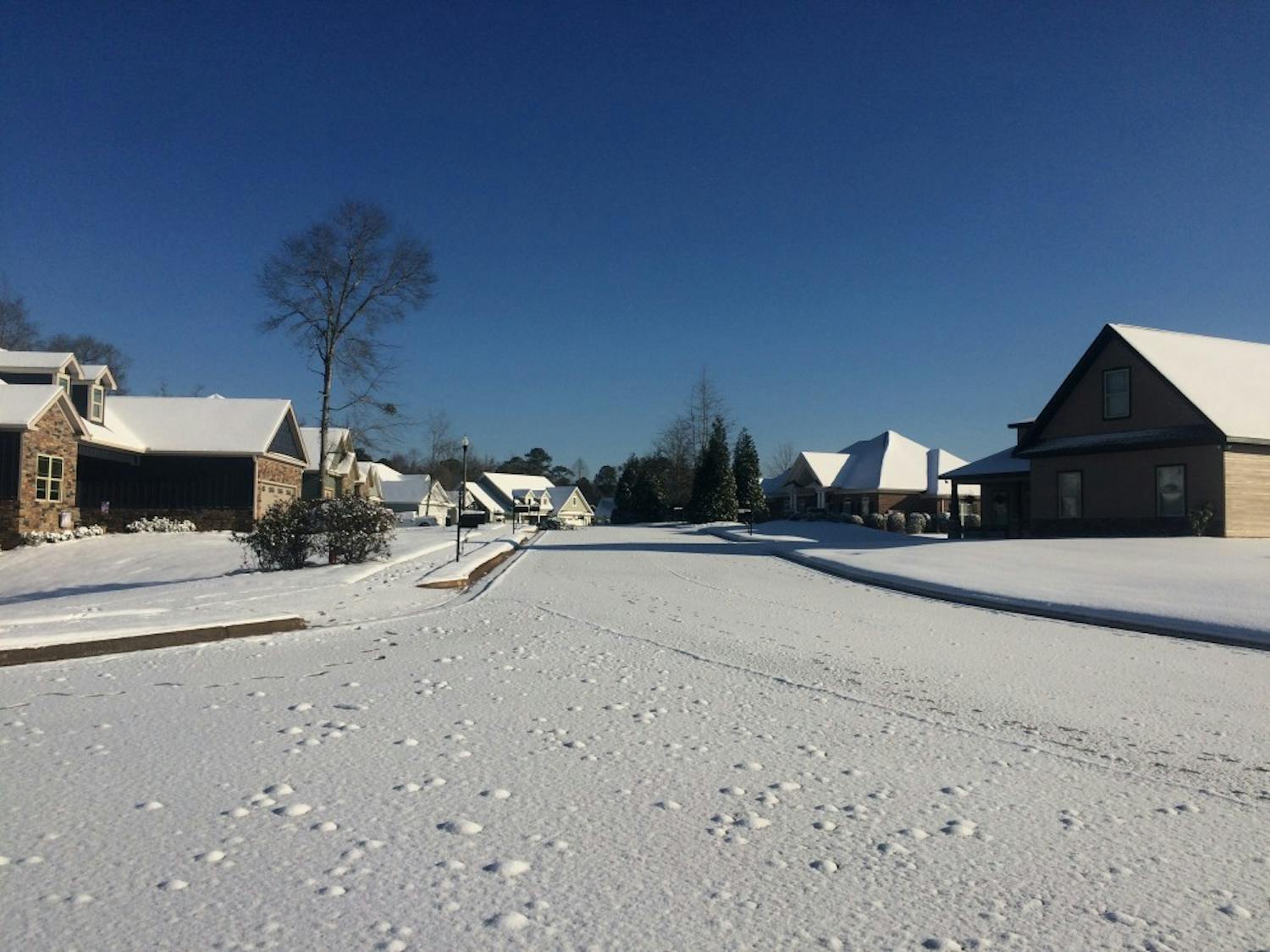 Snow in Opelika