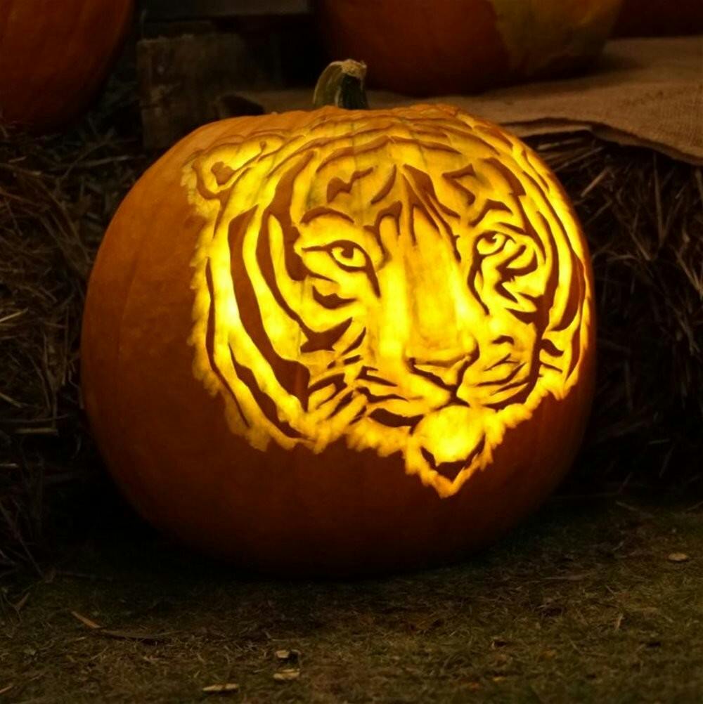 PumpkinCarveWinAPLA768x7.jpg