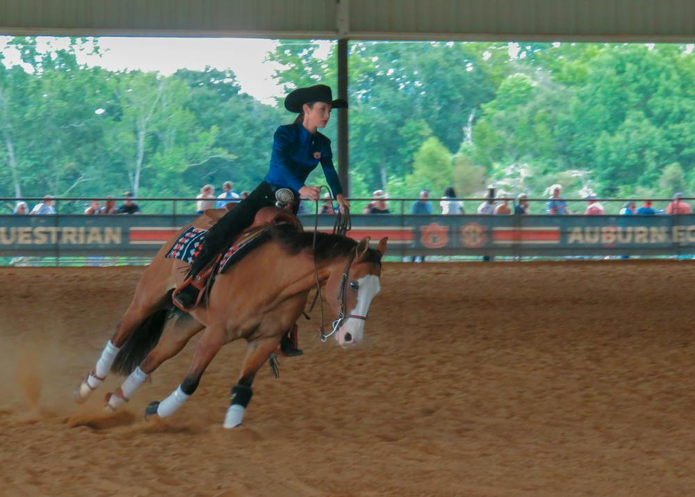 Auburn equestrian rider in an orange Auburn shirt and helmet rides a horse through the outdoor competition arena.